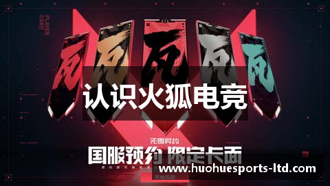 认识火狐电竞